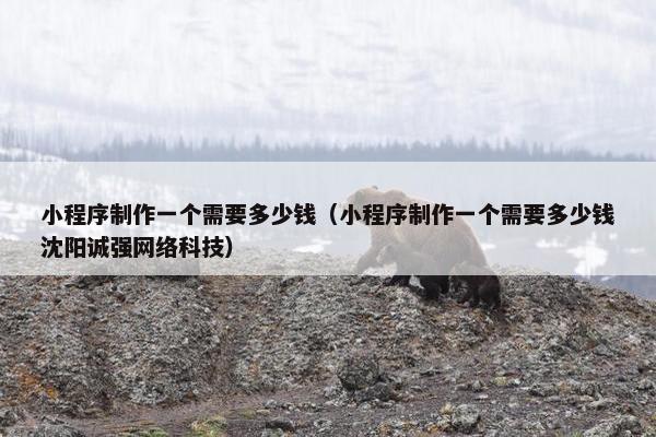小程序制作一个需要多少钱（小程序制作一个需要多少钱沈阳诚强网络科技）