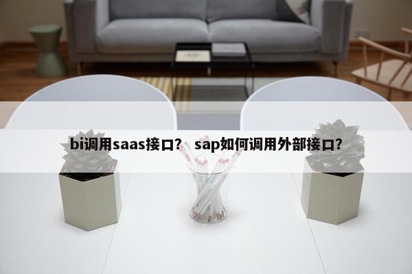 bi调用saas接口？ sap如何调用外部接口？