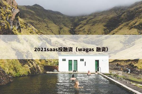 2021saas投融资（wagas 融资）