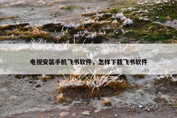 电视安装手机飞书软件，怎样下载飞书软件