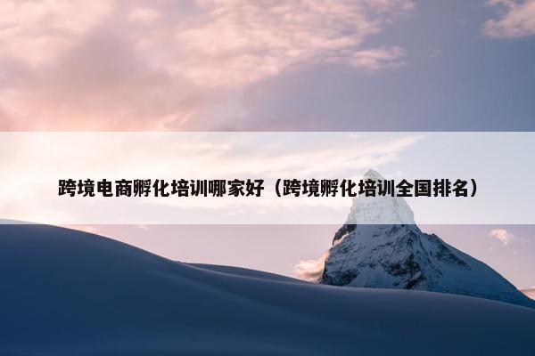 跨境电商孵化培训哪家好（跨境孵化培训全国排名）