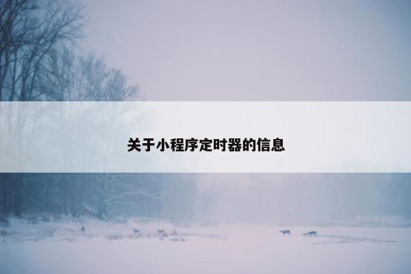 关于小程序定时器的信息