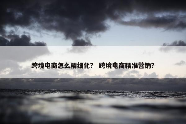跨境电商怎么精细化？ 跨境电商精准营销？