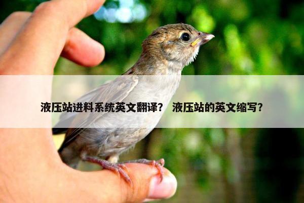 液压站进料系统英文翻译？ 液压站的英文缩写？