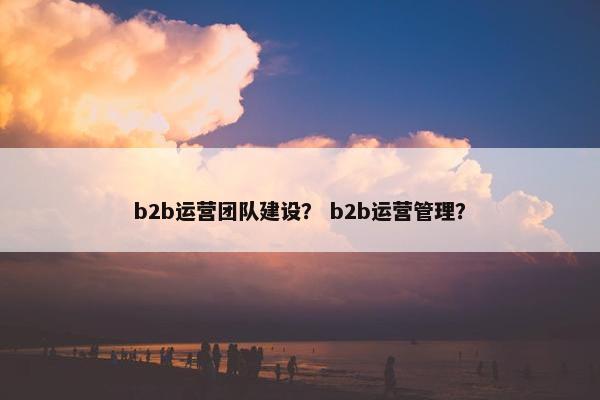 b2b运营团队建设？ b2b运营管理？