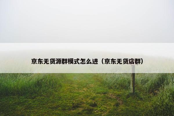 京东无货源群模式怎么进（京东无货店群）