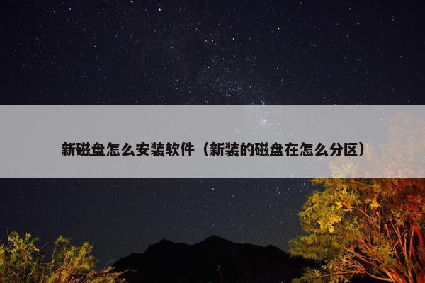 新磁盘怎么安装软件（新装的磁盘在怎么分区）