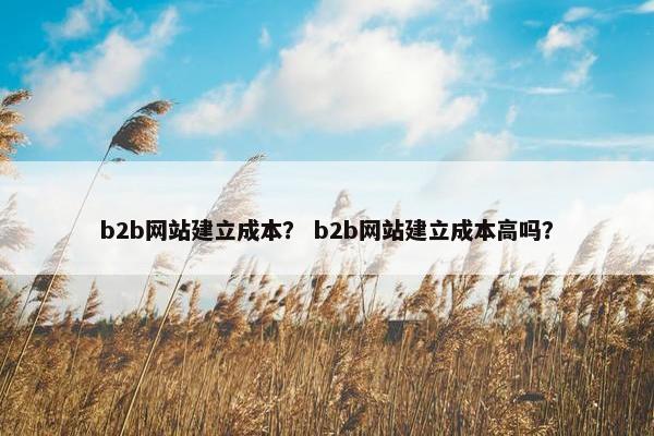 b2b网站建立成本？ b2b网站建立成本高吗？