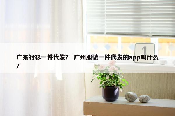 广东衬衫一件代发？ 广州服装一件代发的app叫什么？
