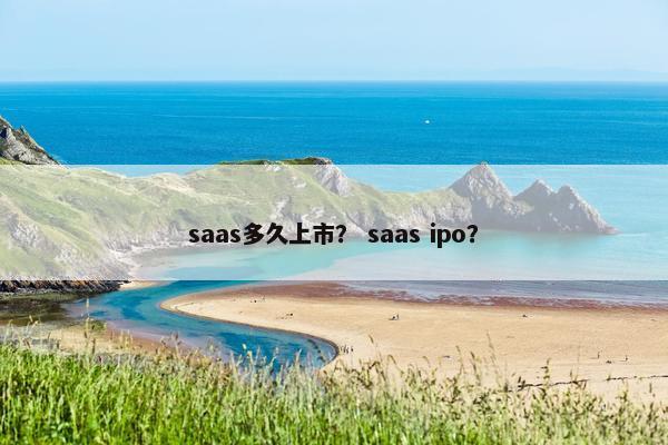 saas多久上市？ saas ipo？