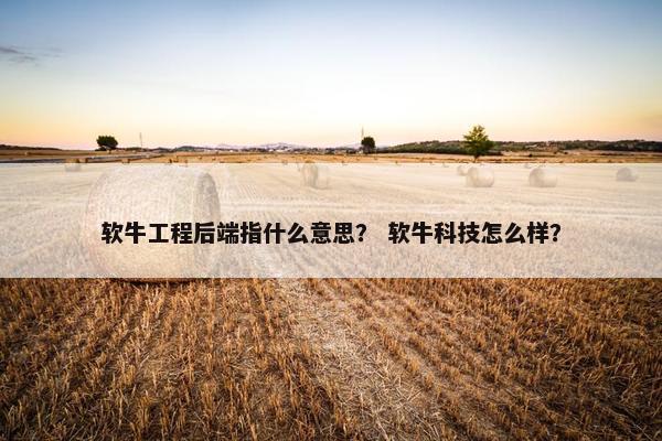 软牛工程后端指什么意思？ 软牛科技怎么样？