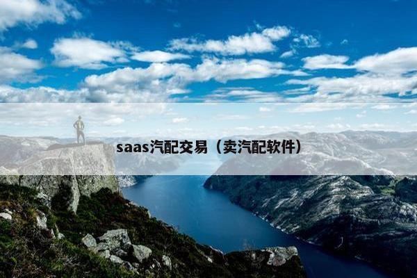 saas汽配交易（卖汽配软件）