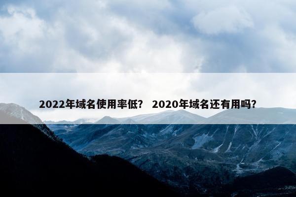 2022年域名使用率低？ 2020年域名还有用吗？