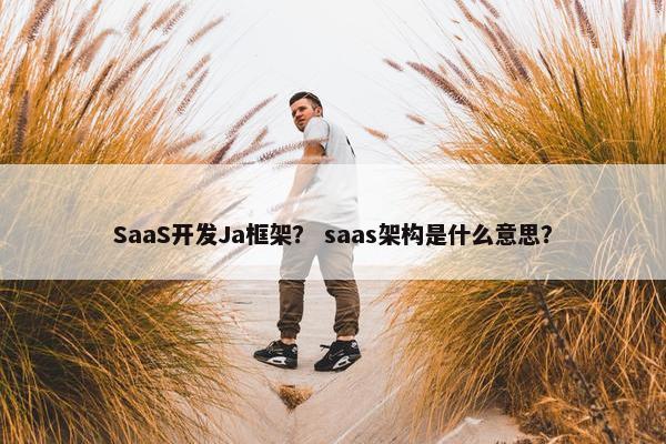 SaaS开发Ja框架？ saas架构是什么意思？