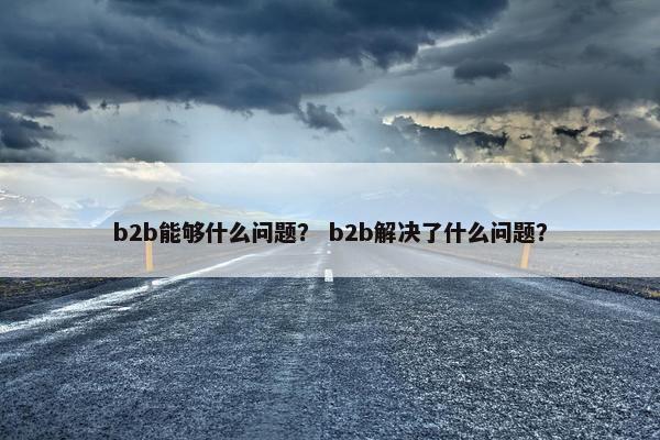 b2b能够什么问题？ b2b解决了什么问题？