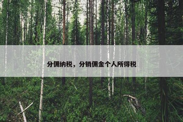 分佣纳税，分销佣金个人所得税