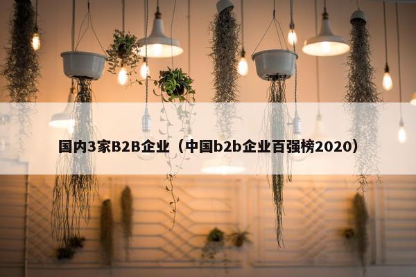 国内3家B2B企业（中国b2b企业百强榜2020）