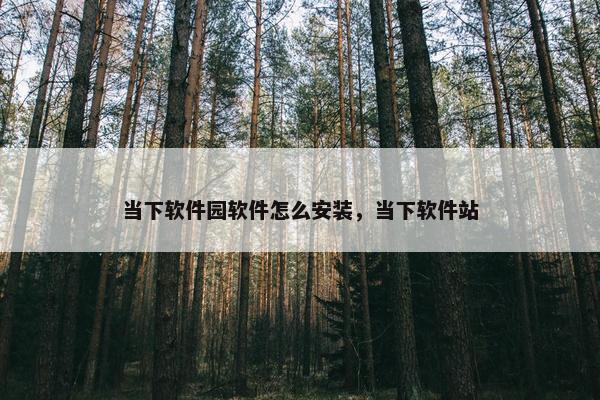 当下软件园软件怎么安装，当下软件站