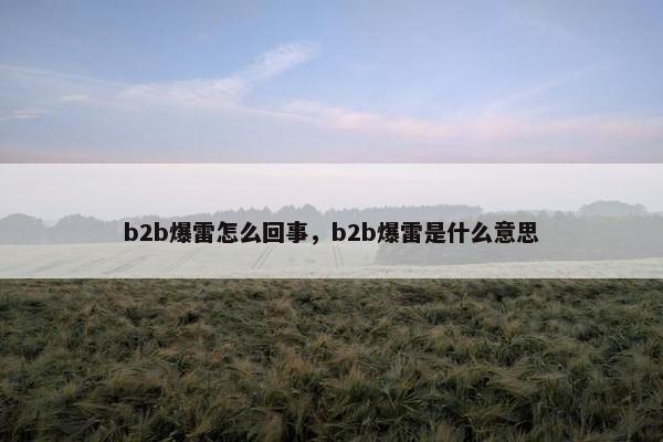 b2b爆雷怎么回事，b2b爆雷是什么意思