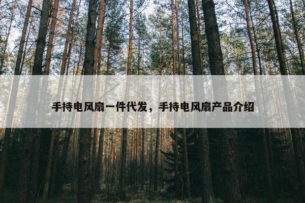 手持电风扇一件代发，手持电风扇产品介绍