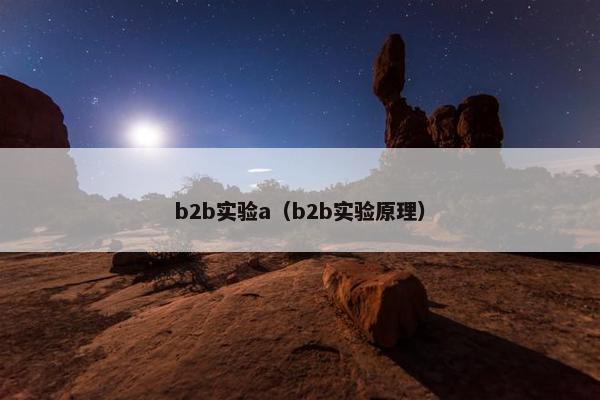 b2b实验a（b2b实验原理）