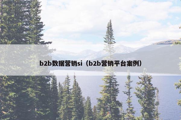 b2b数据营销si（b2b营销平台案例）