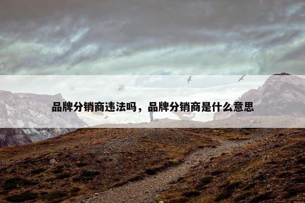 品牌分销商违法吗，品牌分销商是什么意思