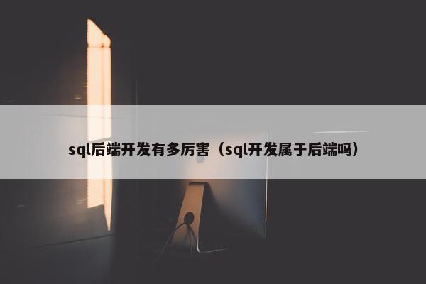 sql后端开发有多厉害（sql开发属于后端吗）