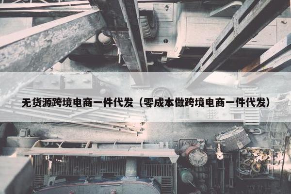 无货源跨境电商一件代发（零成本做跨境电商一件代发）