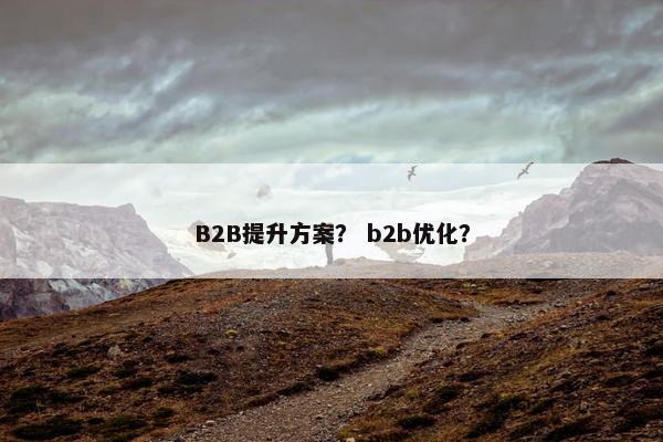 B2B提升方案？ b2b优化？