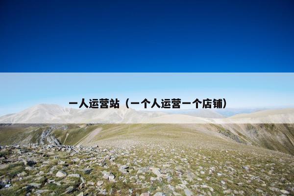一人运营站（一个人运营一个店铺）
