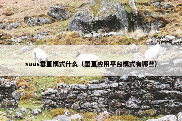 saas垂直模式什么（垂直应用平台模式有哪些）