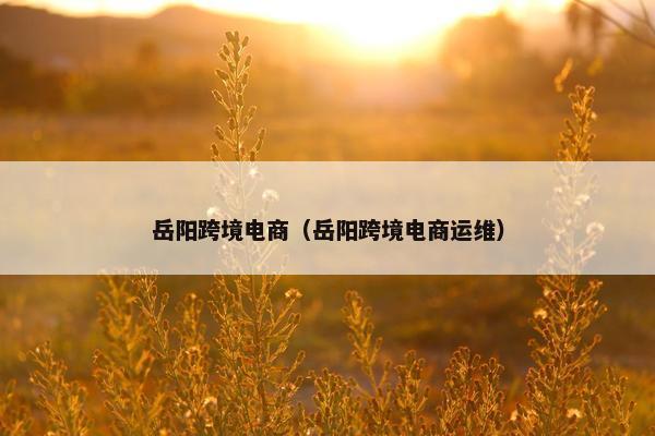 岳阳跨境电商（岳阳跨境电商运维）