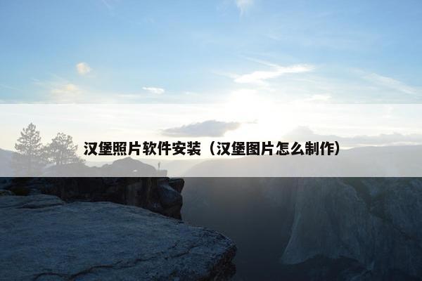 汉堡照片软件安装（汉堡图片怎么制作）