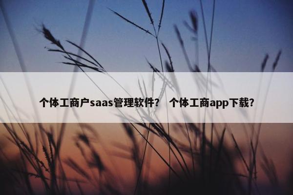 个体工商户saas管理软件？ 个体工商app下载？