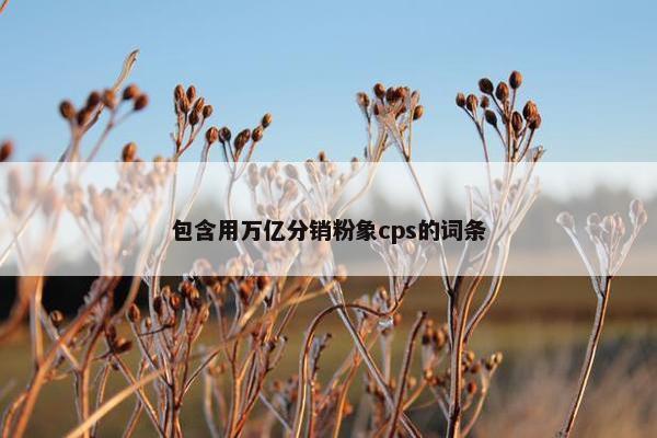 包含用万亿分销粉象cps的词条