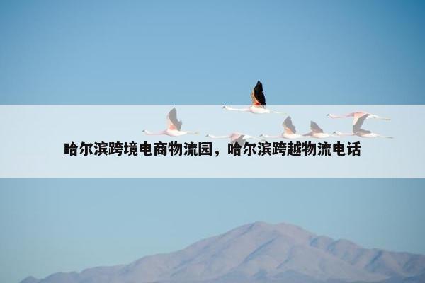 哈尔滨跨境电商物流园，哈尔滨跨越物流电话