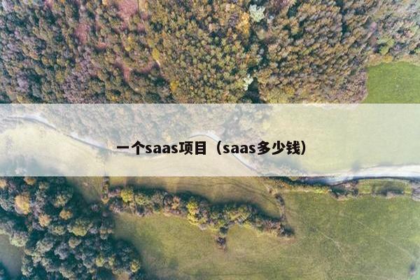 一个saas项目（saas多少钱）