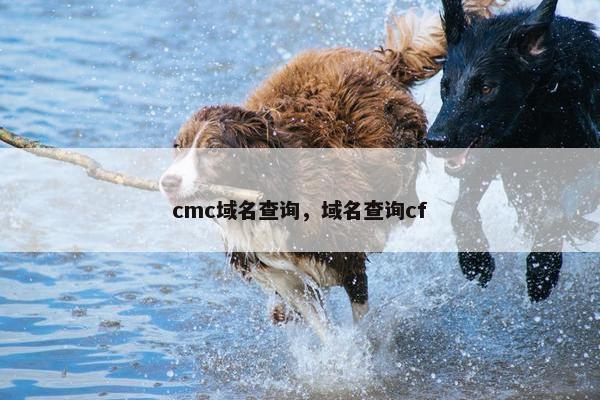 cmc域名查询，域名查询cf