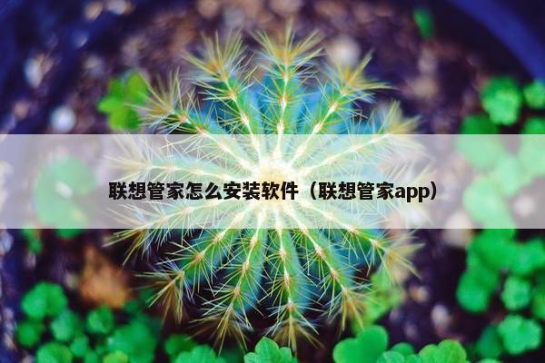 联想管家怎么安装软件（联想管家app）