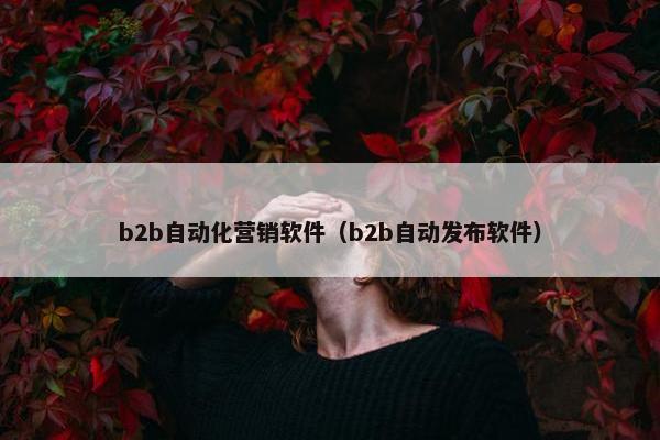 b2b自动化营销软件（b2b自动发布软件）