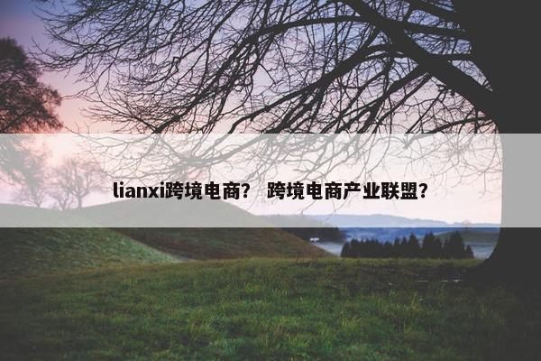 lianxi跨境电商？ 跨境电商产业联盟？