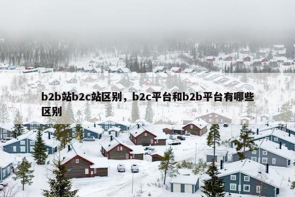 b2b站b2c站区别，b2c平台和b2b平台有哪些区别