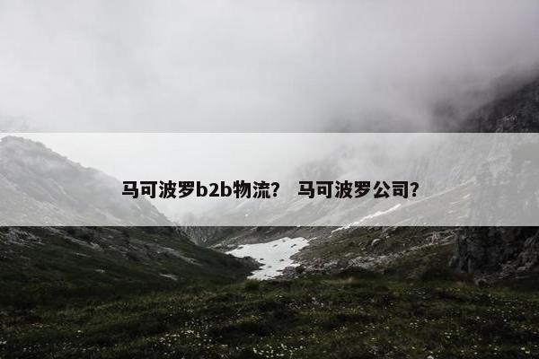 马可波罗b2b物流？ 马可波罗公司？