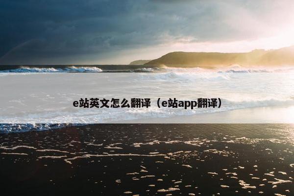e站英文怎么翻译（e站app翻译）