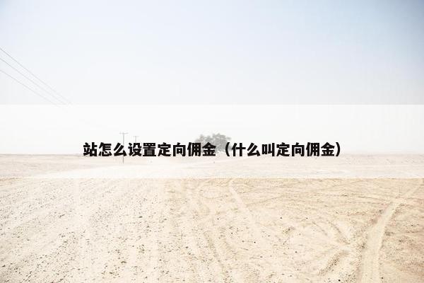 站怎么设置定向佣金（什么叫定向佣金）