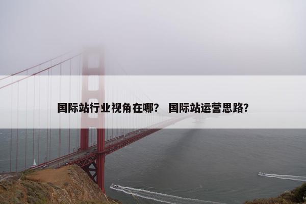 国际站行业视角在哪？ 国际站运营思路？