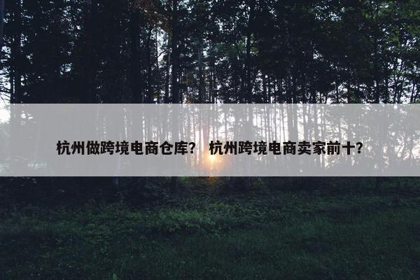 杭州做跨境电商仓库？ 杭州跨境电商卖家前十？