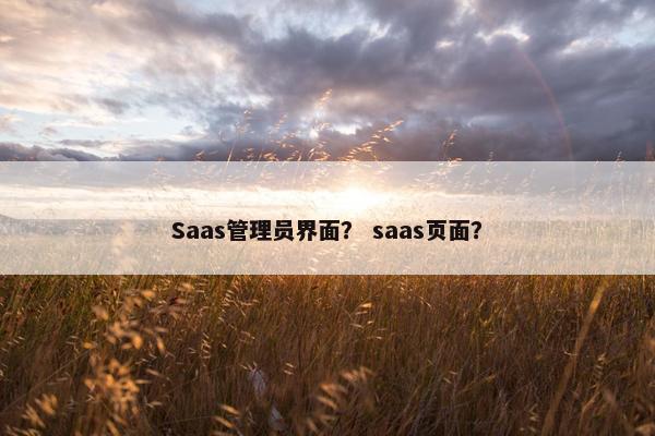 Saas管理员界面？ saas页面？
