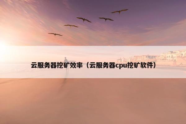 云服务器挖矿效率（云服务器cpu挖矿软件）